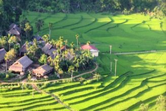 Cycling Pu Luong nature reserve